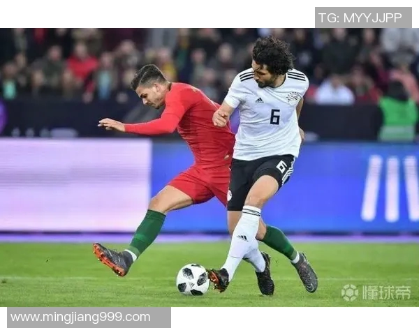 俄罗斯对阵埃及的欧赔分析与投注建议全面解读 俄罗斯对阵埃及的欧赔分析与投注建议全面解读