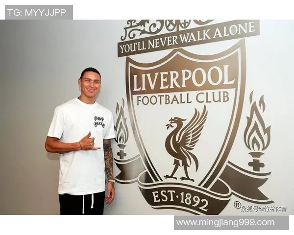 努涅斯在球队中的崛起与未来发展潜力分析