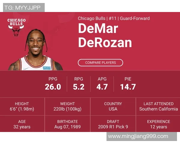 公牛队2023赛季完整球员名单及其个人数据分析与表现评估